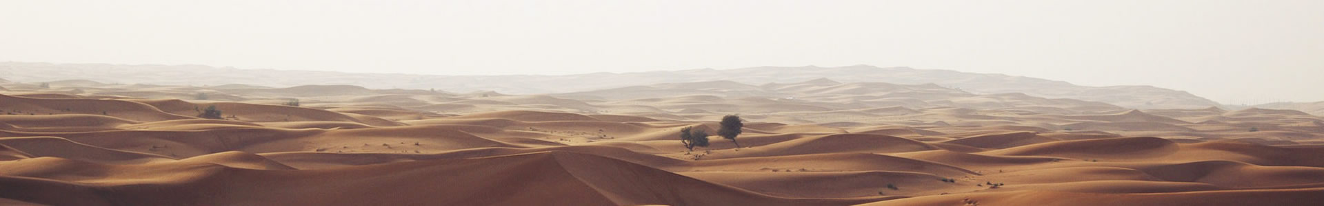 ˼ͨԶƼ޹˾